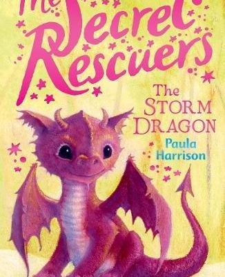 The Secret Rescuers: The Storm Dragon