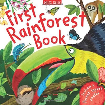 FIRST RAINFOREST BOOK