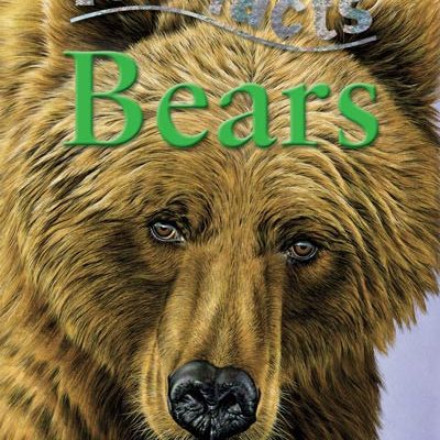 Bears