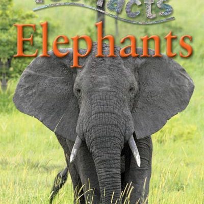 Elephants