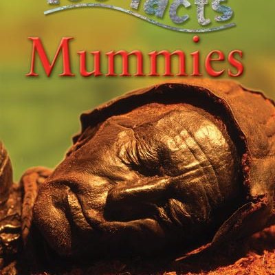 100 facts. Mummies