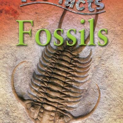 100 facts. Fossils