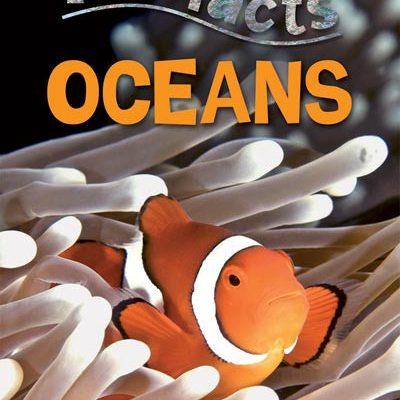 100 facts. Oceans