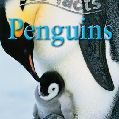 100 facts. Penguins