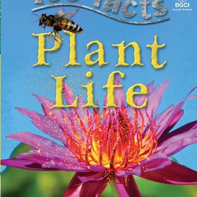 100 facts. Plant Life
