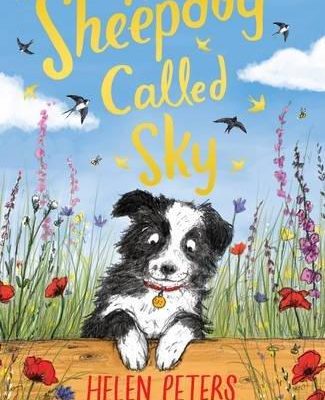 A Sheepdog Called Sky