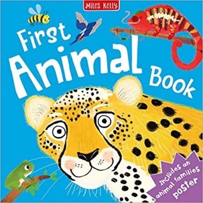 FIRST ANIMAL BOOK