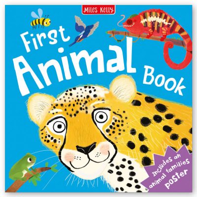 MY FIRST ANIMAL BOOK